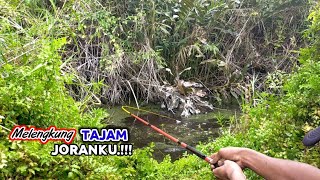 Edrun Mancing di rawa ini bikin panik semua pemancing PR71 [upl. by Arihaz]