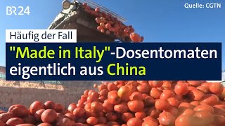 Tomaten quotmade in Italyquot eigentlich aus China – und in deutschen Supermärkten  Abendschau  BR24 [upl. by Aneras]