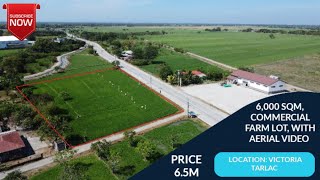 V272 6000 SQM RESIDENTIAL COMMERCIAL LOTPRICE 65M LOCATION VICTORIA TARLACWITH AERIAL VIDEO [upl. by Akiemaj]