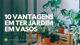 10 VANTAGENS em ter um JARDIM EM VASOS [upl. by Greenwald]