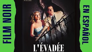 EVASIÓN  Excelente CINE NEGRO de los 50s  Exsoldado desempleado entra en la mafia  EN ESPAÑOL [upl. by Prinz405]