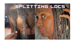 How to Split Locs [upl. by Mukund]