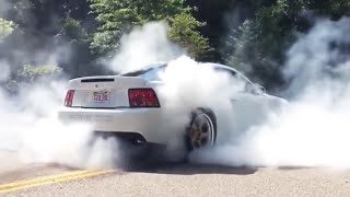 MOST INSANE Mustang Burnouts Pullouts FlyBy Compilation amp Drifts of ALL TIME  Mustang WINS [upl. by Boycie723]