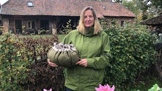 Hollandse risotto met spruitjes en gort [upl. by Annasor]