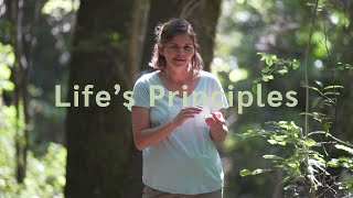 The Biomimicry Lifes Principles  Biomimicry Explained [upl. by Esoj997]