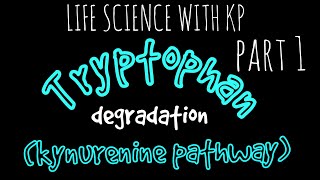 TRYPTOPHANkynurenine pathway Degradation Vlog 12 [upl. by Eldnek883]