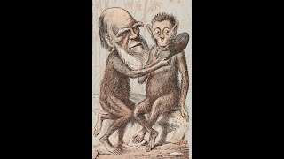 Is Darwinism a Secular Myth [upl. by Enitsua465]