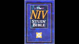 The Gospel of John NIV Audio Bible Non Dramatized [upl. by Idnek]