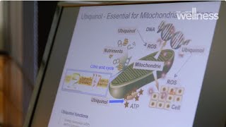 Unlocking the health benefits of ubiquinol with Dr Ross Walker [upl. by Craven]