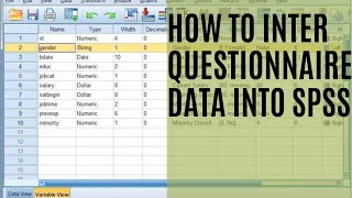 How to Enter Questionnaire Data in SPSS in urdu hindi SPSS QuestionnaireSurvey Data Entry [upl. by Eilrac]