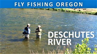 Fly Fishing Oregons Deschutes River Salmonfly Hatch Series Episode 40 [upl. by Letnom]