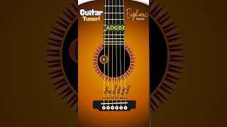 Acoustic Guitar Tuner  EBGDAE  EADGBE [upl. by Lucier]