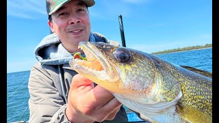 NEW Sneaky Walleye Color for Jig Fishing ft Tom Huynh [upl. by Swagerty172]