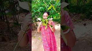 সব পাতা খেয়ে ফেলেছি funny viral viralcomedy comedy comedyvideoseveryone funnycomedy [upl. by Lucina620]