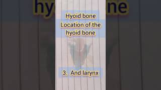 how to study location of the hyoid bone in the human body Structure  hyoid bone in the education [upl. by Merce361]