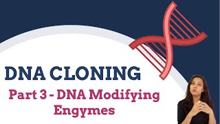 DNA Cloning Part 3  DNA Modifying Enzymes  Nucleases [upl. by Malvin]