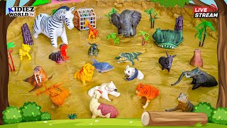 Herbivores Carnivores and Omnivores Animals for Kids Fun Learning Educational Video [upl. by Flore561]