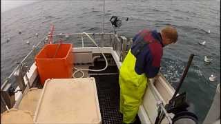 Extreme cod fishing Iceland [upl. by Tav]