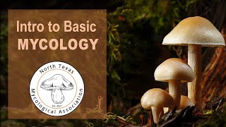 Basic Mycology 1 22 2022 [upl. by Yednarb]