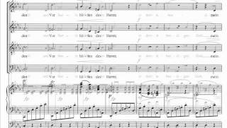 Brahms  Ein deutsches Requiem  4 Wie lieblich sind deine Wohnungen [upl. by Ellenij]