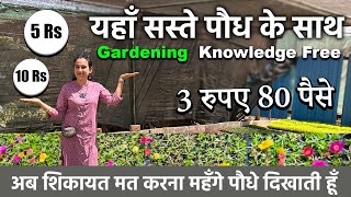 पौधे 5 और 10 रुपए में  Cheapest Plant Nursery  Gurugram ki is nursery mein milenge saste podhe [upl. by Linsk109]