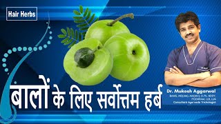 बालों को बढ़ाने की शानदार बूटी  Wonderful Herb for Hair Growth  Hair Herbs  Episode 2 [upl. by Regine]