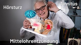 Das Ohr  Tinnitus Mittelohrentzündungen Tuben Probleme uvm  Ursache und Hilfe  Teil 1 [upl. by Anal]