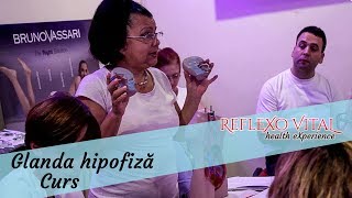 Curs glanda hipofiza  Importanta in reflexoterapie [upl. by Kruger]