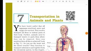 Class7 Science Chapter 7 Transportation in plants and Animals part 1 with detailed Explanation [upl. by Lamphere]