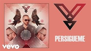 Yandel  Persígueme Audio [upl. by Anemolif]