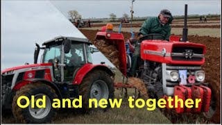 Massey Ferguson tractors at Rutland ploughing match 2022 [upl. by Powder]