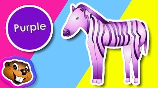 What Color is it Clip  Preschool Learning Video [upl. by Wivinah276]