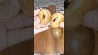 ASMR Chikoo  Sapodilla Fruit shortvideos satisfying fruits viral asmr [upl. by Olds7]