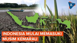 Indonesia Mulai Memasuki Musim Kemarau Kapan Puncaknya [upl. by Joscelin700]