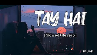 Tay Hai SlowedReverb Ankit Tiwari  Rustom l  SV Lofi [upl. by Aztiray]