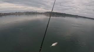 Stormy Weather Fishing at Merimbula Lake [upl. by Howard765]