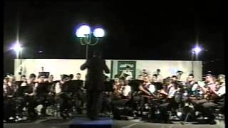 SOTTO TUONI E FULMINI di Johann Strauss [upl. by Aytnahs]