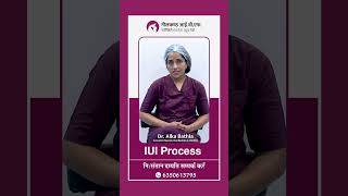 What Is The IUI Process [upl. by Aryahay]