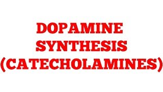 Catecholamines  Dopamine  Biochemistry [upl. by Kelcey]