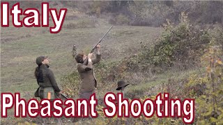 Driven Pheasant shooting in Italy with Italian Safari [upl. by Andreana]