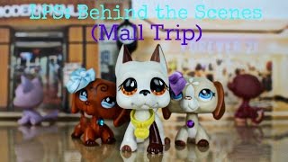 ❀ LPS Behind the Scenes Mall Trip [upl. by Navi]