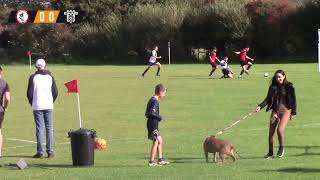 Wittering United vs East Preston Development 01  Highlights [upl. by Ytineres]