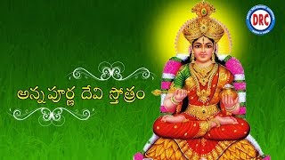 Nitya Nandakari Varabhayakari  Goddess Sri Annapoorna Devi Songs  Sri Annapoorna Devi Ashtakam [upl. by Rizas703]