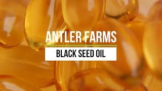 Antler Farms Black Seed Oil  ColdPressed with 2 Thymoquinone [upl. by Ahsaekal211]