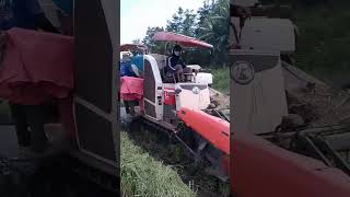 Siêu gặt lúa Kubota D70 [upl. by Eldorado]