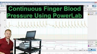 Continuous Finger Blood Pressure in PowerLab [upl. by Cowen]