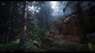 The Last of Us 2 Ambience PS5 4K Rain and Thunder [upl. by Kast952]