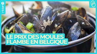 Le prix des moules frites et des croquettes s’envolent en Belgique  On nest pas des Pigeons [upl. by Nuyh468]