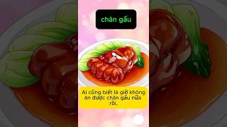 Chân Gấu Có Thực Sự Ngon Không   Gino Nguyễn kienthuc [upl. by Esinek]