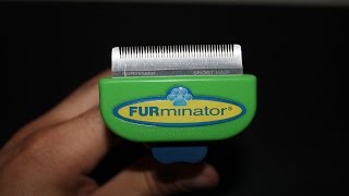 FURminator Dog Short Hair Deshedding Tool Review Small [upl. by Runck]